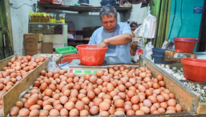 Harga Pangan Pokok Di Tangerang Stabil