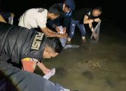 Benih Lobster Barang Bukti Hasil Kejahatan Dilepasliarkan