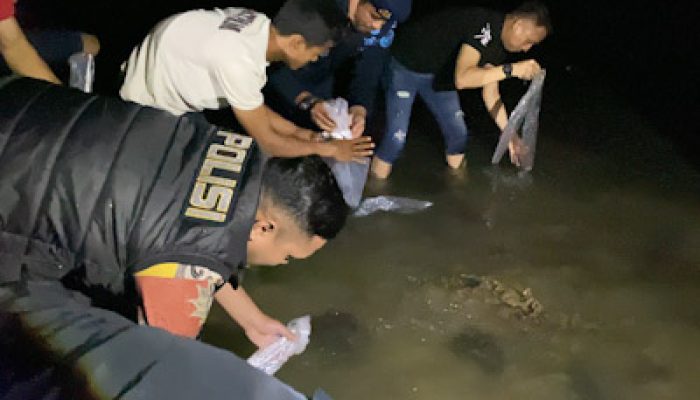 Benih Lobster Barang Bukti Hasil Kejahatan Dilepasliarkan