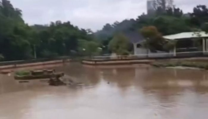 Aktivis Lingkungan, Minta Menteri LH Pidanakan Pemilik Gudang Pencemar Cisadane