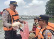Pascapencemaran, Kapolres Tangerang Kota Imbau Warga Tak Konsumsi Ikan Mati