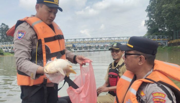 Pascapencemaran, Kapolres Tangerang Kota Imbau Warga Tak Konsumsi Ikan Mati
