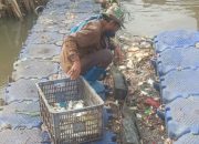 Cisadane Tercemar, Aktivis Lingkungan Hidup Tangerang Bakal Geruduk KLH