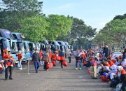 Serunya Mudik Gratis 1250 Member Alfamidi