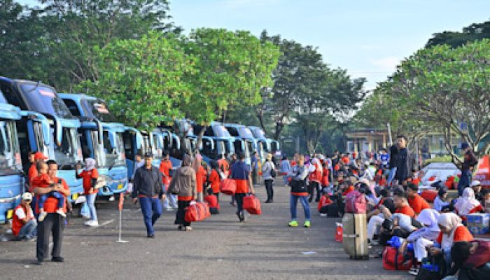 Serunya Mudik Gratis 1250 Member Alfamidi