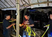 Polda Banten Gerebek Lokasi Sabung Ayam