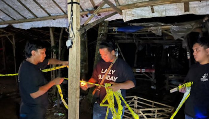 Polda Banten Gerebek Lokasi Sabung Ayam