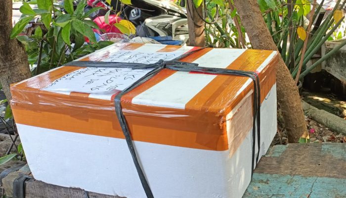 Kotak Mencurigakan Bikin Geger Warga Warga Pasar Kemis