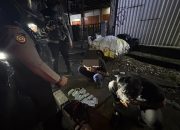 Gerak-gerik Mencurigakan, Dua Pengendara Diamankan Tim Patroli Presisi Bawa Pil Terlarang