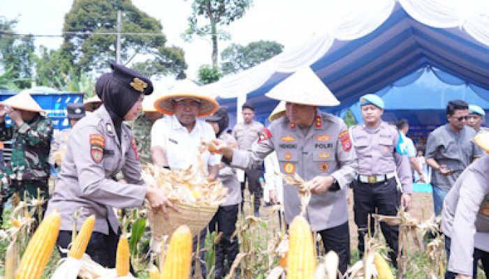 Polda Banten Panen 29,5 Ton Jagung