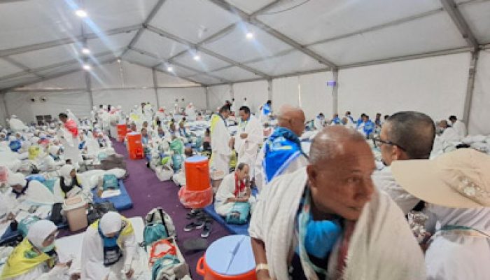 Jemaah Haji Mulai Bergerak ke Arafah, Kemenhaj Imbau Jaga Kesehatan