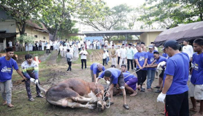 Idul Adha 1447 Hijriah Polda Banten Salurkan 144 Hewan Kurban ke Masyarakat
