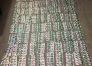 Mau Edarkan 970 Butir Tramadol di Tangerang, Dua Pria Dibekuk Polsek Neglasari
