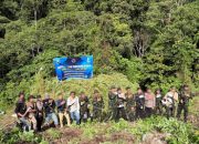 HUT RI Ke-81, BNN Musnahkan 12 Hektar Lahan Ganja