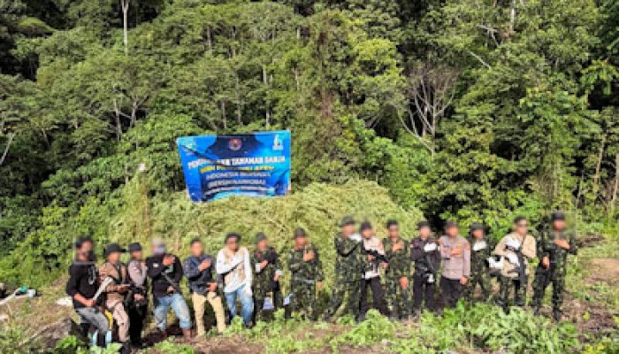 HUT RI Ke-81, BNN Musnahkan 12 Hektar Lahan Ganja