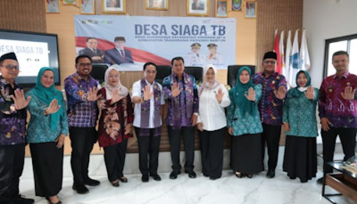 Wamenkes Apresiasi Pemkab Tangerang Percepatan Program Kesehatan