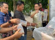 Polda Banten Gagalkan Pengiriman 150 Ribu Benih Bening Lobster