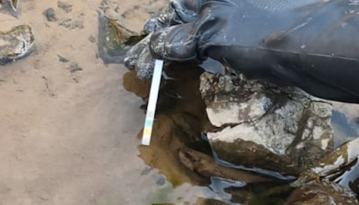 Deteksi Dini Air Keruh di Lebak, Polda Banten Ambil Sampel