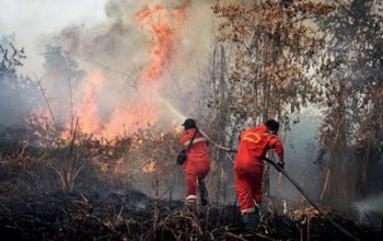 Dewan Fatwa Al Washliyah Tegaskan Pembakaran Hutan dan Lahan Hukumnya Haram